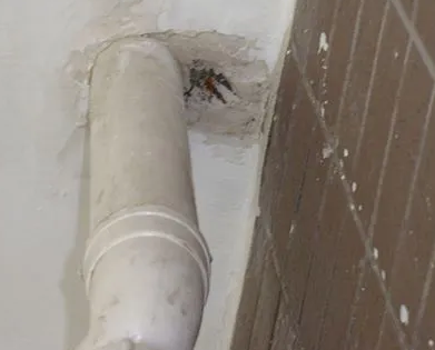 嘉峪关漏水检测哪家好